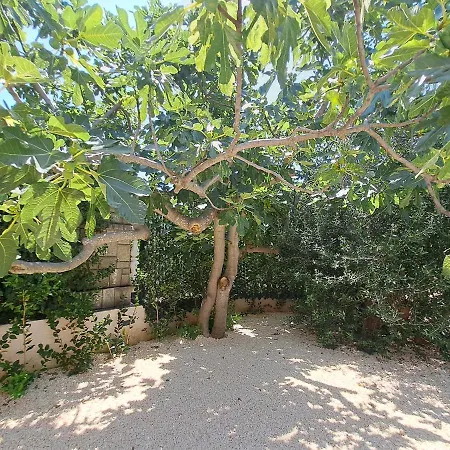Hébergement de vacances House Seadream - 50 Meters From The Sea